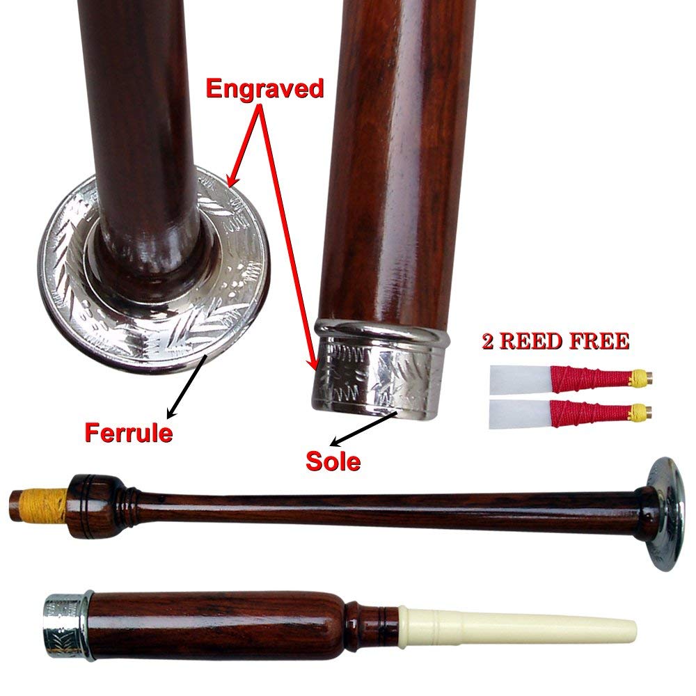 AAR Rosewood Practice Chanter Engraved Mounts Wooden Box with 2 Reeds Free