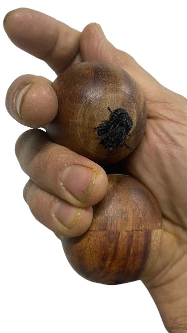 Aslatuas Shaker – Rhythmic Wooden Ball Kashaka Instrument for Kids & Adults – African Hand Percussion Toy