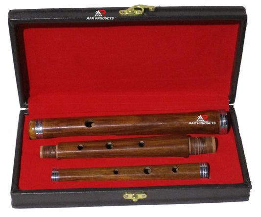 AAR Irish Professional Tunable D Flute with Hard Case 23" Length 3 Pcs Music