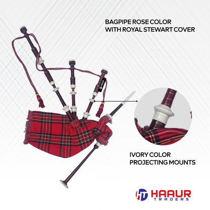 Scottish Bagpipe Rose Color with Royal Stewart Cover & Cord Ivory Mounts